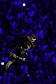 tom-cruise-olympics