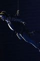tom-cruise-olympics