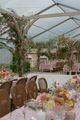 joey-king-wedding-photos