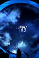 katy-vmas-perform