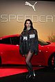 dua-puma