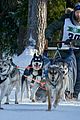 finnish-line