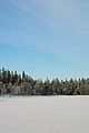 finnish-line