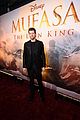mufasa-laprem