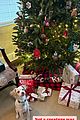 reese-xmas