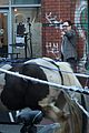 milo-setpics