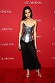 clarins-icon