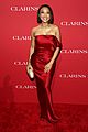 clarins-icon