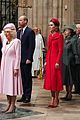 kate-red-common