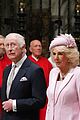 kate-red-common