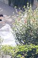 hailee-wedding