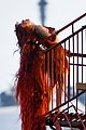 chappell-rapunzel
