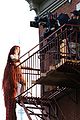 chappell-rapunzel