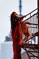 chappell-rapunzel