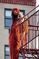 chappell-rapunzel