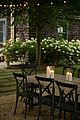 nph-backyard