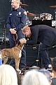 harry-meghan-concert