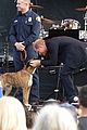 harry-meghan-concert