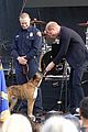 harry-meghan-concert
