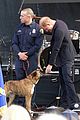 harry-meghan-concert