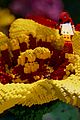 tom-holland-lego