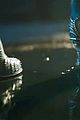 wicked-trailer