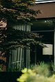 bugonia-final-trailer