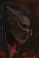 predator-reviews