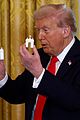 trump-arc