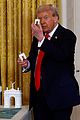 trump-arc