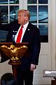 trump-arc