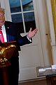 trump-arc