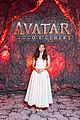 avatar-global