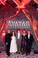 avatar-global