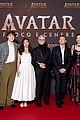 avatar-global