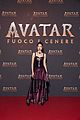 avatar-global