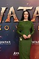 avatar-global