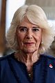 queen-camilla-abuse