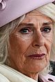 queen-camilla-abuse