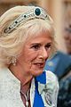 queen-camilla-abuse