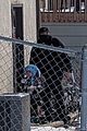 ice-detains