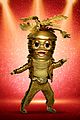 masked-14-karat-carrot