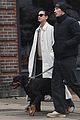 turner-dog
