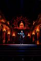 clemmett-amadeus