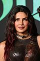 priyanka-nick-bluff