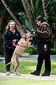 sandra-bullock-dog