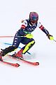 shiffrin-slolam