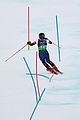 shiffrin-slolam