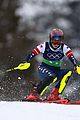 shiffrin-slolam