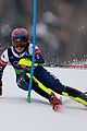 shiffrin-slolam